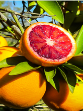 Load image into Gallery viewer, BLOOD ORANGE OIL & BEESWAX - Calming &Relaxing scent  -Repellent MOISTURISER